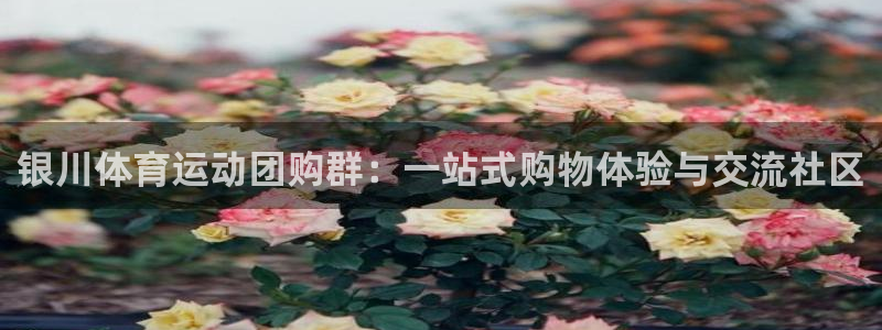 银川体育运动团购群：一站式购物体验与交流社区
