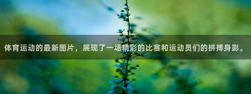 体育运动的最新图片，展现了一场精彩的比赛和运动员们的拼搏身影。