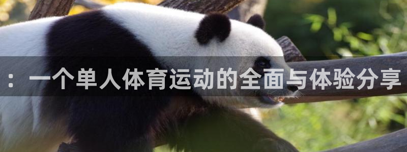 ：一个单人体育运动的全面与体验分享