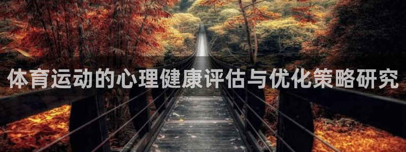 体育运动的心理健康评估与优化策略研究