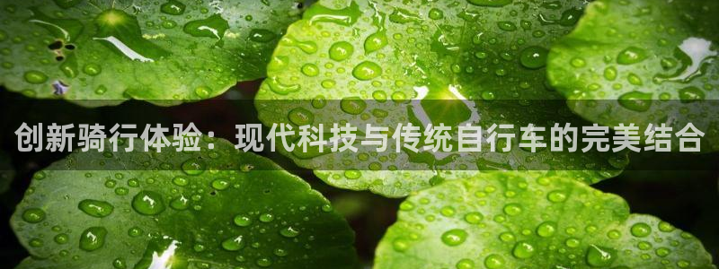 创新骑行体验：现代科技与传统自行车的完美结合