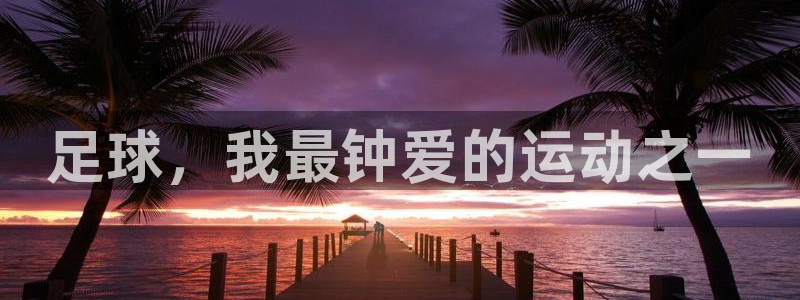 足球，我最钟爱的运动之一