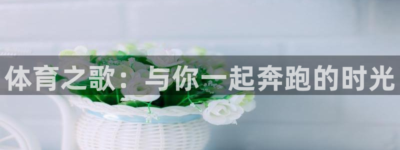 体育之歌：与你一起奔跑的时光