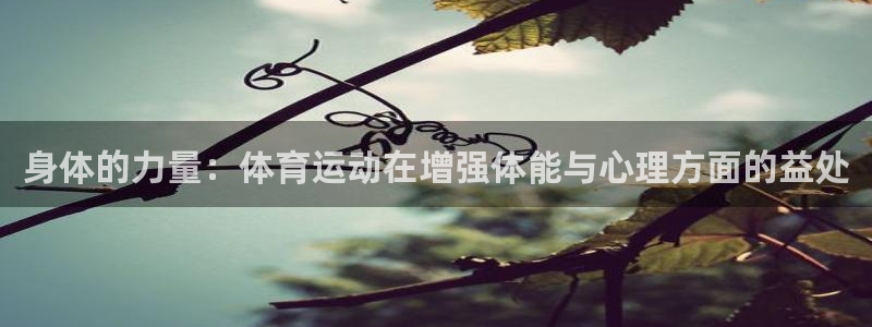 身体的力量：体育运动在增强体能与心理方面的益处