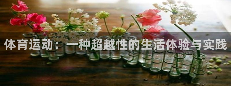 体育运动：一种超越性的生活体验与实践