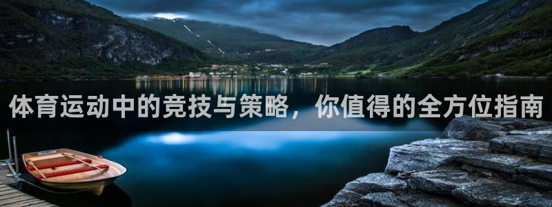 体育运动中的竞技与策略，你值得的全方位指南