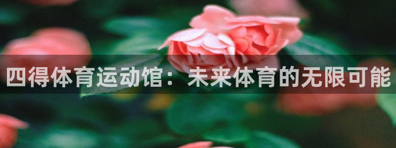 四得体育运动馆：未来体育的无限可能