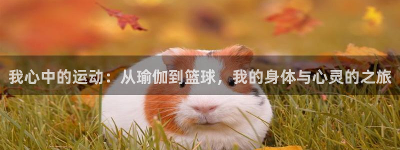 我心中的运动：从瑜伽到篮球，我的身体与心灵的之旅