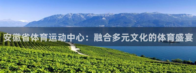 安徽省体育运动中心：融合多元文化的体育盛宴