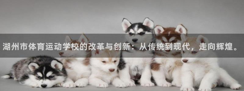 湖州市体育运动学校的改革与创新：从传统到现代，走向辉煌。